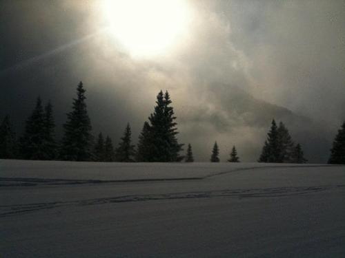 a snow covered field with trees and the sun at Gästehaus Panorama in Biberwier