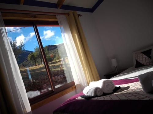 - une chambre avec un lit et une fenêtre avec vue dans l'établissement Hospedaje el juncal, à Puerto Ingeniero Ibáñez