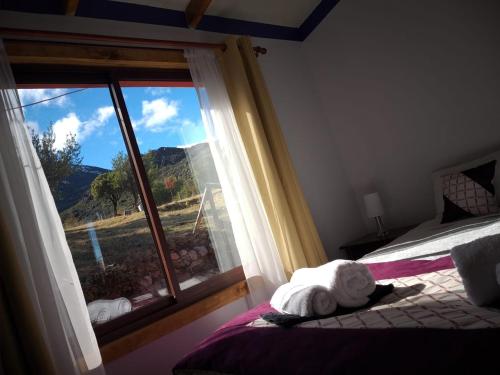 a bedroom with a bed and a window with a view at Hospedaje el juncal in Puerto Ingeniero Ibáñez