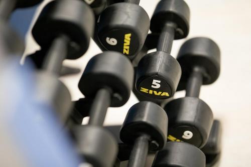 a bunch of black dumbbells in a gym at Hotel Aubrecht Country Spa Resort in Przechlewo