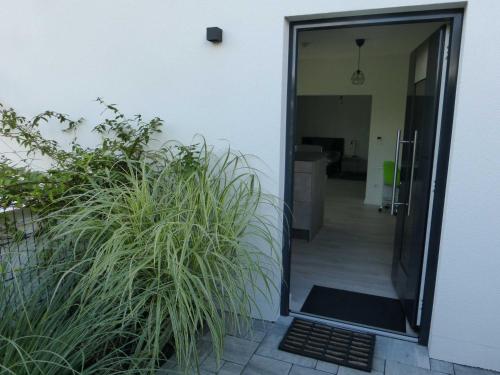 an open door to a house with a plant at Forststrasse Apartment in Stockstadt am Main