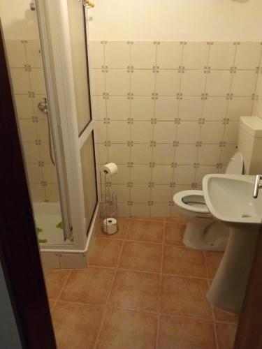 a bathroom with a toilet and a shower and a sink at Casa da fonte in Lavacolhos