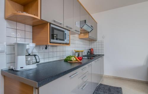 eine Küche mit einer Arbeitsplatte und einer Mikrowelle in der Unterkunft Apartments Kvarner in Malinska