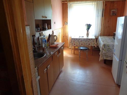 Vidgiriai的住宿－Sodyba Skardupiai，厨房配有水槽、桌子和窗户