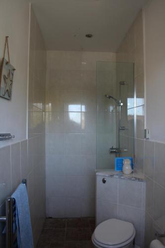 a bathroom with a shower with a toilet and a sink at Cherry Trees in Stowmarket