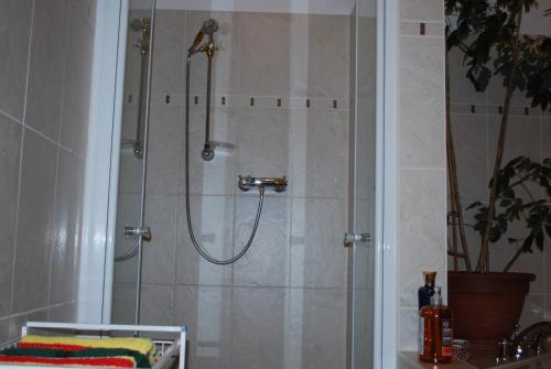 a shower with a shower head in a bathroom at Haus Grüne Idylle in Bannewitz