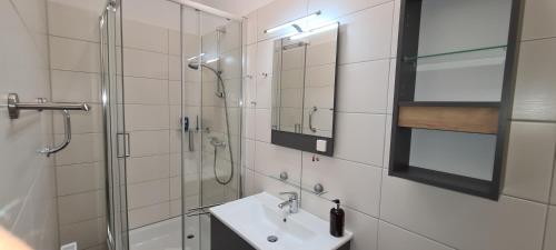 a bathroom with a shower and a sink and a mirror at Gästeappartements "PureFitness" am Elberadweg in Tangermünde in Tangermünde
