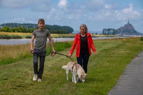 a boy and a girl walking a dog on a leash at ibis Pontorson Baie Du Mont Saint Michel in Saint-Georges-de-Gréhaigne