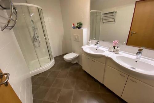 bagno con lavandino, doccia e servizi igienici di Udoben apartma v Moravskih Toplicah - Terme Vivat a Moravske Toplice