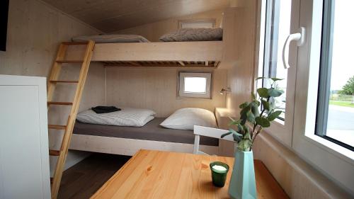 a tiny house with a bunk bed and a table at Tiny Hotel Herdt in Reichenberg