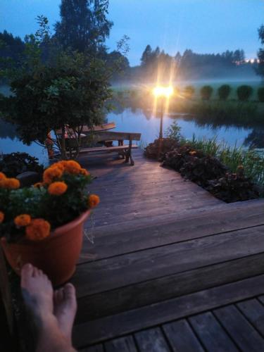 a person sitting on a dock with a pot of flowers at Mikalojiškis in Inturkė