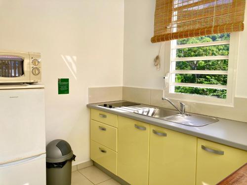 una pequeña cocina con fregadero y ventana en Residence Soleil Demery, en Terre-de-Bas