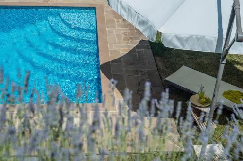Casa Verde – Photos 3