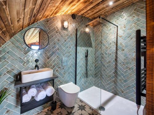 a bathroom with a shower and a toilet and a sink at The Piglet Pod in Llanarth