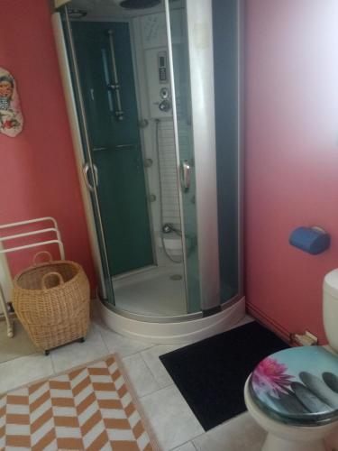 a bathroom with a shower and a toilet and a rug at Mimi 0k in Ruffec