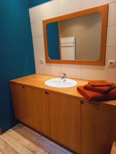 a bathroom with a sink and a mirror at Le vieux Spa de Polo-Jo in Spa