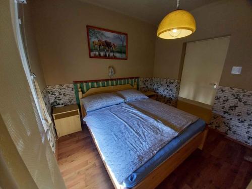 ein Schlafzimmer mit einem großen Bett in einem Zimmer in der Unterkunft Holiday home in Balatonmariafürdo 19400 in Balatonmáriafürdő