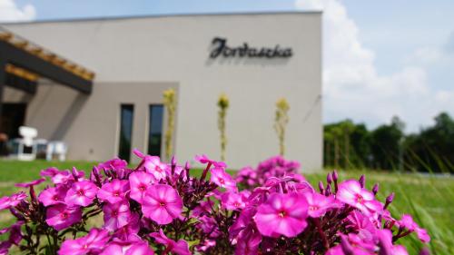 a bunch of pink flowers in front of a building at Jordaszka in Wodzisław Śląski