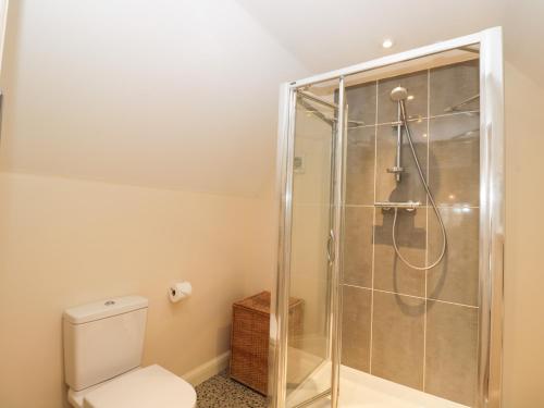 a bathroom with a shower and a toilet at 8 The Light in Malmesbury