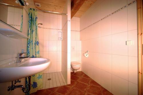 a bathroom with a sink and a toilet at Alter-Gardinger-Deich-Wohnung-G-2 in Siekbüll