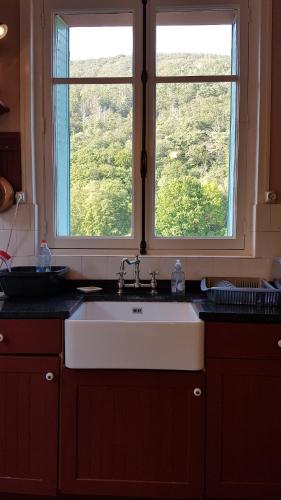 - une cuisine avec un évier blanc et 2 fenêtres dans l'établissement Le Balcon sur la Meuse, à Revin