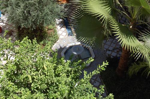 an overhead view of a garden with a fire hydrant at Riad L'Aziza in Marrakesh