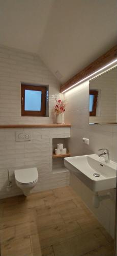 Ванная комната в Půjčovna a ubytování pod Pálavou