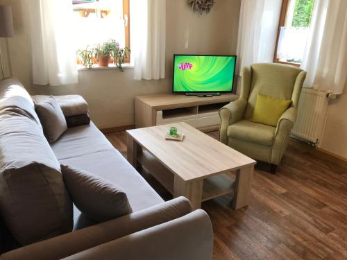 een woonkamer met een bank en een tv bij Haus Daheim in Bad Schandau