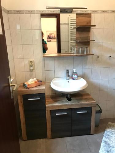a bathroom with a sink and a mirror at Haus Daheim in Bad Schandau