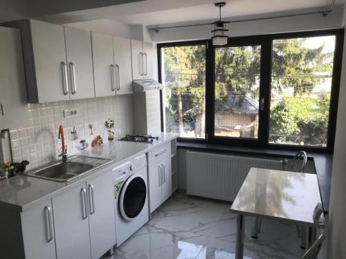 a kitchen with a sink and a washing machine at Casa Bacestianu in Buzău