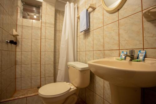 La salle de bains est pourvue de toilettes et d'un lavabo. dans l'établissement Hostal La Payacha, à Machu Picchu