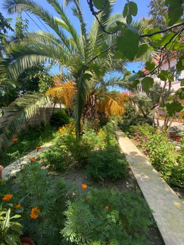a palm tree in the middle of a garden at Villa Jakos Paradise in Batumi