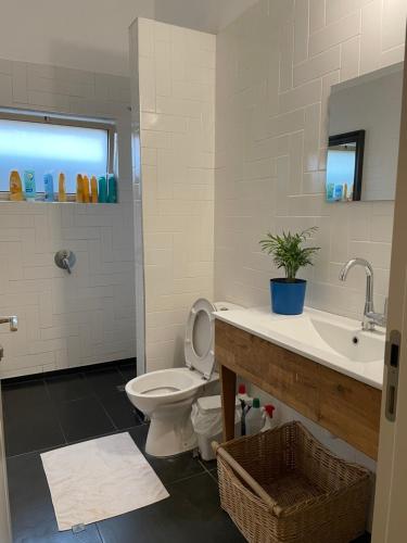 a bathroom with a toilet and a sink at לינה למטייל in Ma'ale Gamla