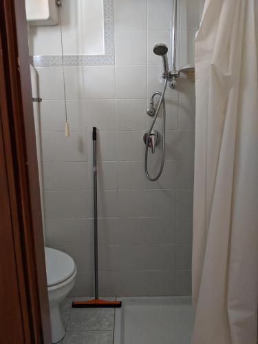 ein Badezimmer mit Duschvorhang und Toilette in der Unterkunft Pallanza centro in Verbania