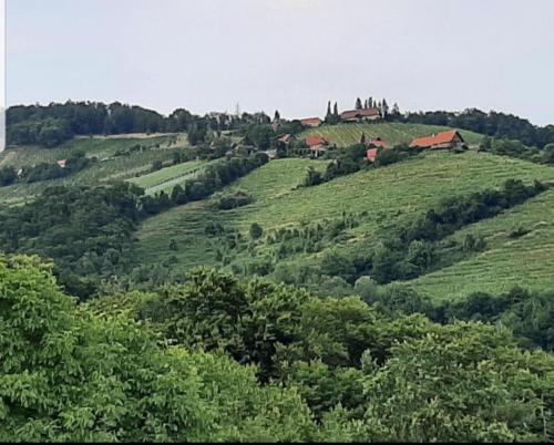 a green hill with houses on top of it at Obstbau und Gästezimmer Stani in Kitzeck im Sausal