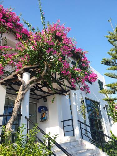 a white building with pink flowers on it at Oscar Hotel in Laganas