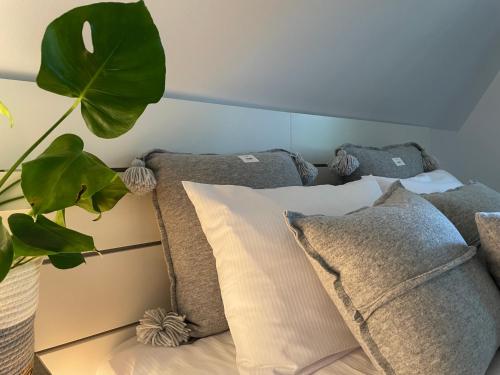 a bedroom with a bed with pillows and a plant at Trzy Jawory in Piechowice