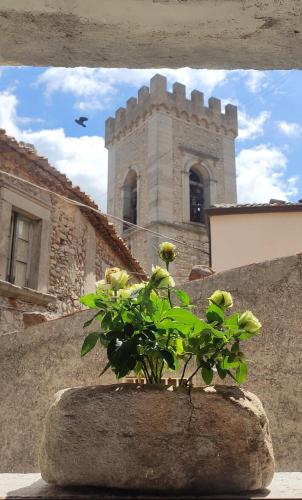 a plant in a stone pot in front of a building at Anteros Luxury Suite in Montalbano Elicona