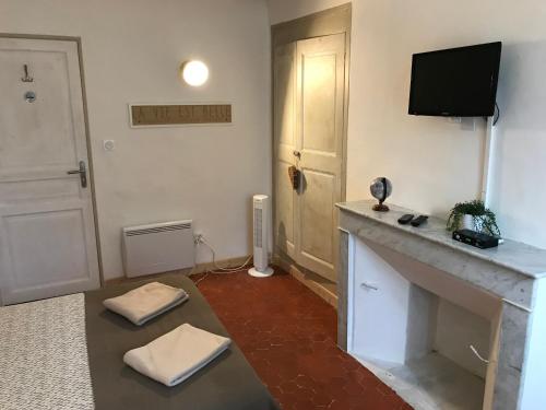 a living room with a fireplace and a television at L'Escapade LORGUES in Lorgues