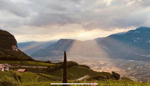 a view of a valley with mountains in the background at Santlhof - Sauvignon in Cortaccia