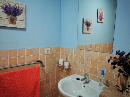 a bathroom with a sink and a mirror at Cosy duplex in Agaete with WIFI in Agaete