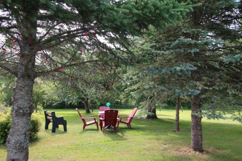 a group of chairs sitting around a table in a park at À la croisée des sommets in Notre-Dame-Des-Bois