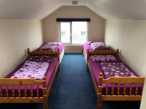 
A bed or beds in a room at Newquay International Backpackers
