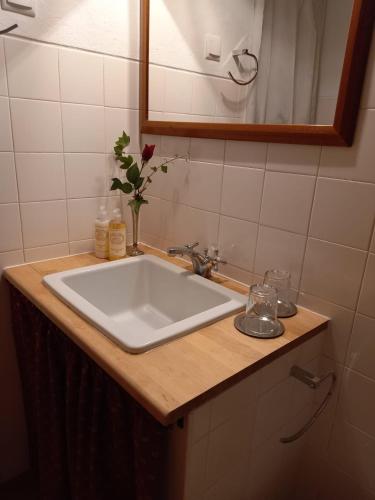 a bathroom counter with a white sink and a mirror at Solar da Cavalariça in Ourique