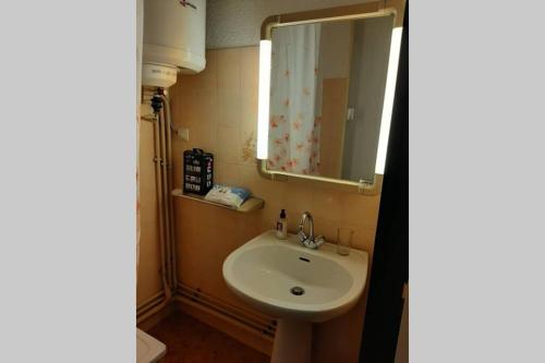 une salle de bain avec un lavabo et un miroir dans l'établissement Font-Romeu : Studio cabine avec terrasse., à Font-Romeu-Odeillo-Via