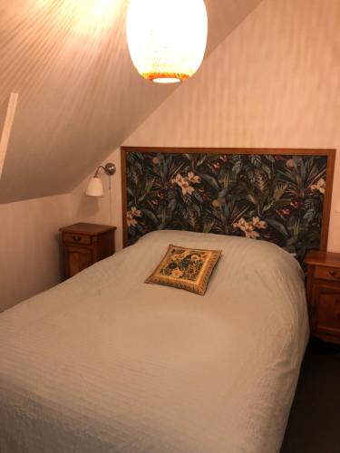 a bedroom with a bed with a pillow on it at La petite maison dans la jungle in Chartres-de-Bretagne
