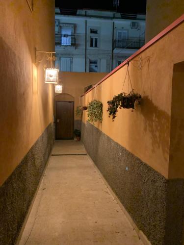 Φωτογραφία από το άλμπουμ του Lemon Apartments σε Catanzaro Lido