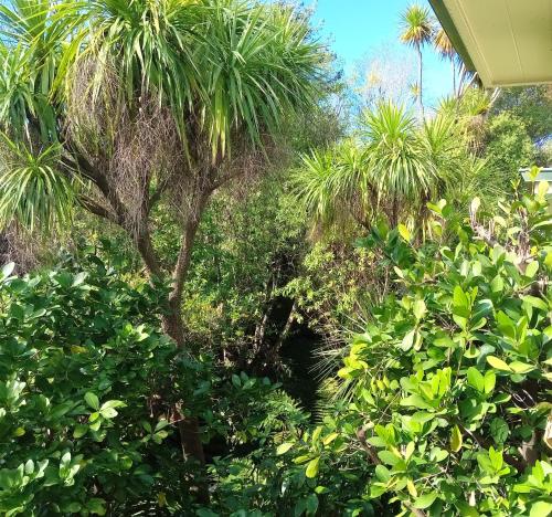 a garden with palm trees and bushes at La Rochelle Motel in Akaroa