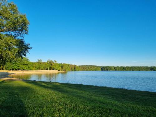 a view of a lake with trees and a grass field at La Tiny proche lac et forêt in Sillé-le-Guillaume