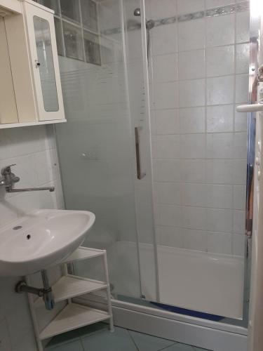 a bathroom with a shower and a sink at Apartments Gale in Delnice